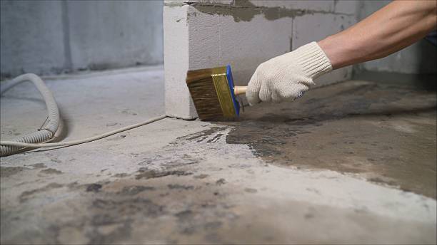 24/7 Emergency Wet Basement Repair experts in Hudson, MI
